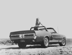 rarest muscle car